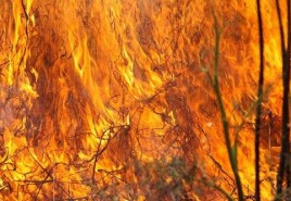 Alto número de queimadas em lotes vagos já gerou mais de 180 notificações em Patrocínio