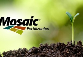 Mosaic Fertilizantes doa 190 toneladas de alimentos para ONGs e famílias em situação de vulnerabilidade social