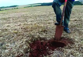 Agricultura prorroga prazo para recebimento de amostras de solo