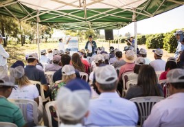 Resultados da quarta colheita de safra do Projeto Unidades Demonstrativas de Café para o Cerrado Mineiro serão divulgados em maio