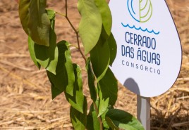 Federação dos Cafeicultores do Cerrado apoia o projeto “Investidores pelo Futuro” no mês do Dia Nacional do Cerrado