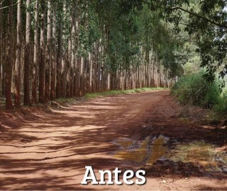 Imagem 1 do post Governo Municipal promove recuperação da estrada de acesso à comunidade do Pântano