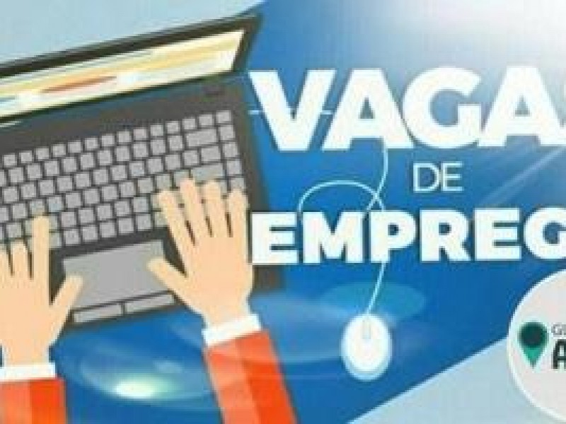 Vagas de Emprego dia 20 de julho