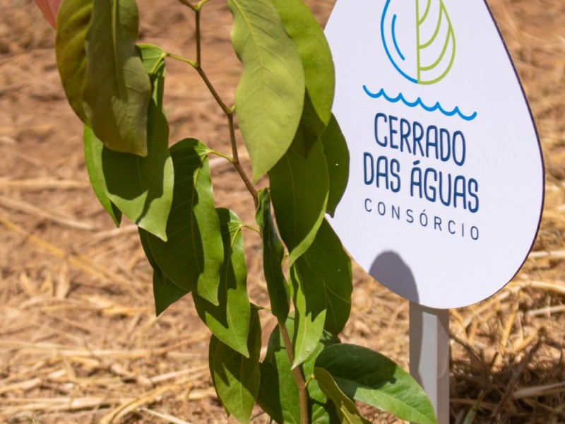Federação dos Cafeicultores do Cerrado apoia o projeto “Investidores pelo Futuro” no...