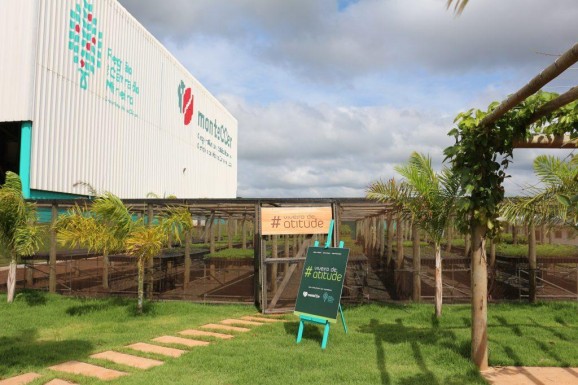 Cafeicultores da Região do Cerrado Mineiro investem em projetos para preservação do bioma Cerrado e resiliência climática