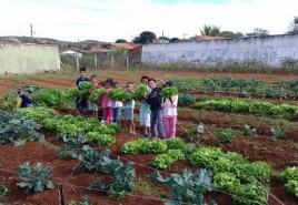 Horta comunitária do CASI no Bairro Santo Antônio beneficia a comunidadecom diversas variedades de vegetais