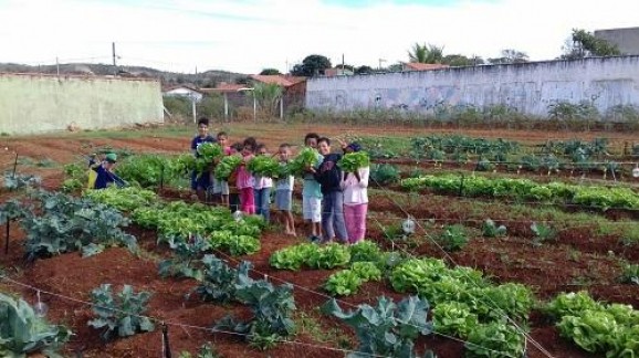 Horta comunitária do CASI no Bairro Santo Antônio beneficia a comunidadecom diversas variedades de vegetais