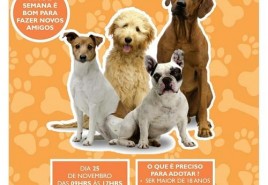 Campanha de Adoção de Cães e Gatos do Canil Municipal acontece no dia 25 de novembro