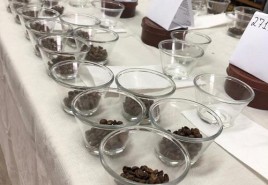 Cafés finalistas da 1ª Copa de Qualidade ACARPA foram selecionados após  desgustação das amostras inscritas