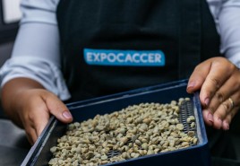Expocaccer inicia recebimento de amostras de café para Etapa Campeões Expocaccer 2022