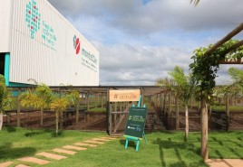 Cafeicultores da Região do Cerrado Mineiro investem em projetos para preservação do bioma Cerrado e resiliência climática