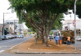 Iniciada a revitalização do canteiro central da Avenida Rui Barbosa