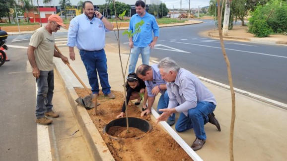 Plantio de Ipês na Avenida Altino Guimarães Marca uma Nova Era para a Cidade
